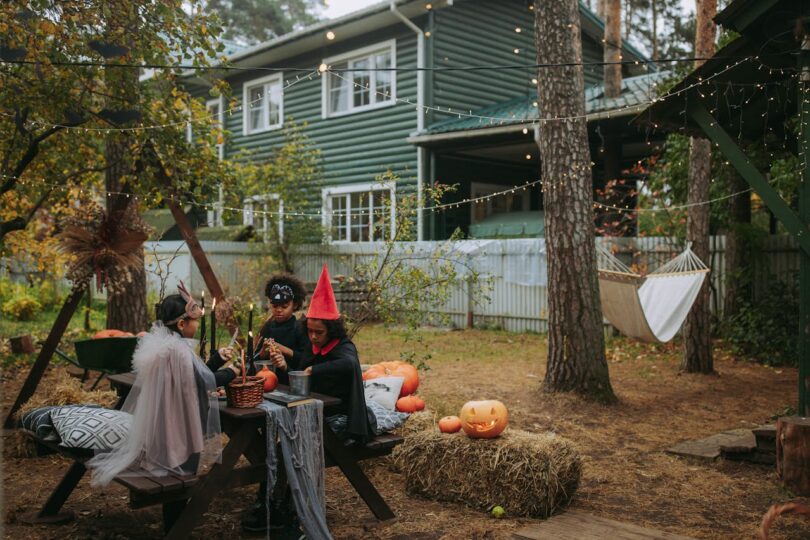 raízes de árvores no encanamento de esgoto
